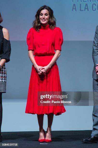 Queen Letizia of Spain attends the National Fashion awards at Museo del Traje on December 19, 2018 in Madrid, Spain.