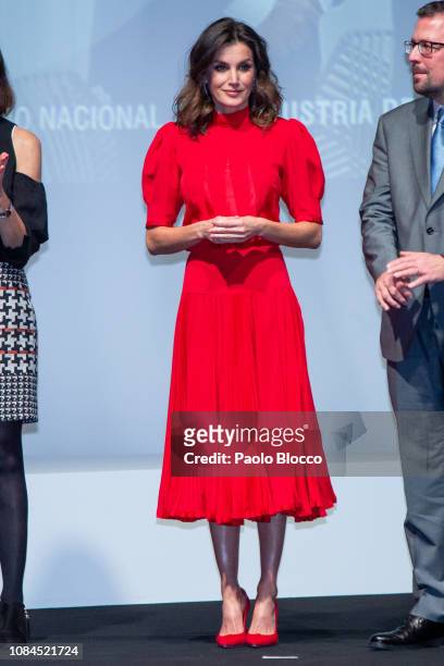 Queen Letizia of Spain attends the National Fashion awards at Museo del Traje on December 19, 2018 in Madrid, Spain.