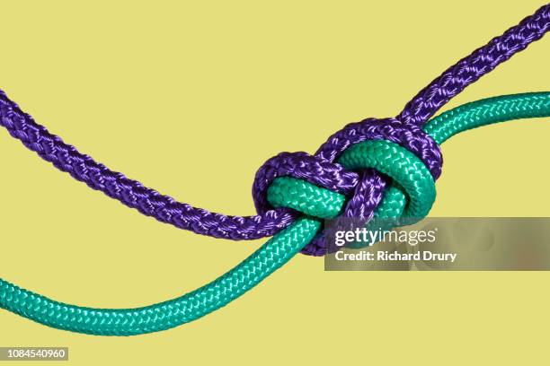 two coloured ropes knotted together - tied knot stock pictures, royalty-free photos & images