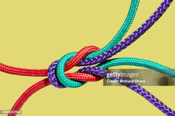 two coloured ropes knotting together - man tying tie stock-fotos und bilder