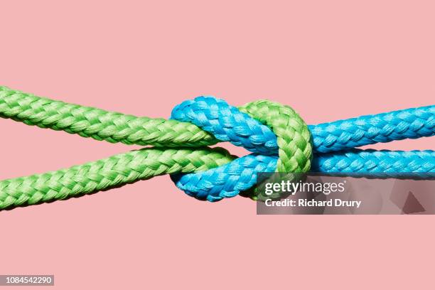 two coloured ropes knotted together - vastgebonden stockfoto's en -beelden