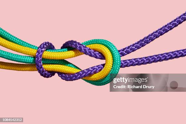Triple Freshmen Rope Triple Power Photos and Premium High Res Pictures - Getty Images