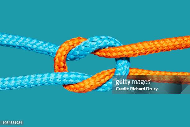 two coloured ropes knotted together - strength stock pictures, royalty-free photos & images