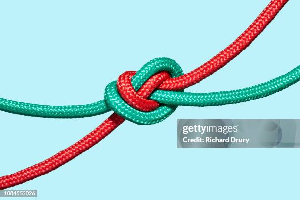 two coloured ropes knotted together - knoten stock-fotos und bilder