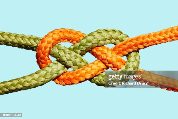 two coloured ropes knotted together - incrociare foto e immagini stock
