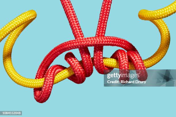 80 Two Ropes Intertwined Stock Photos, High-Res Pictures, and Images ...