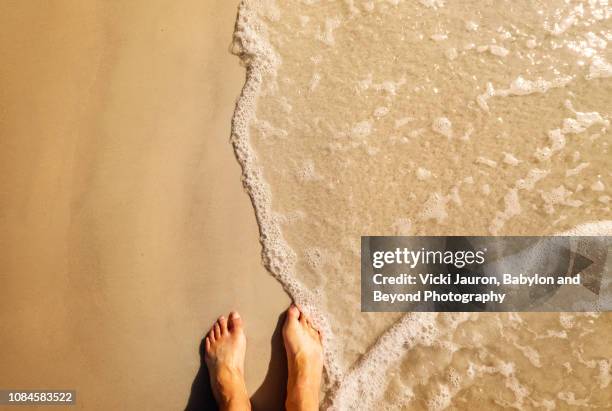 warmth of sand, sun and water at fort myers beach, florida - sandsun stock-fotos und bilder