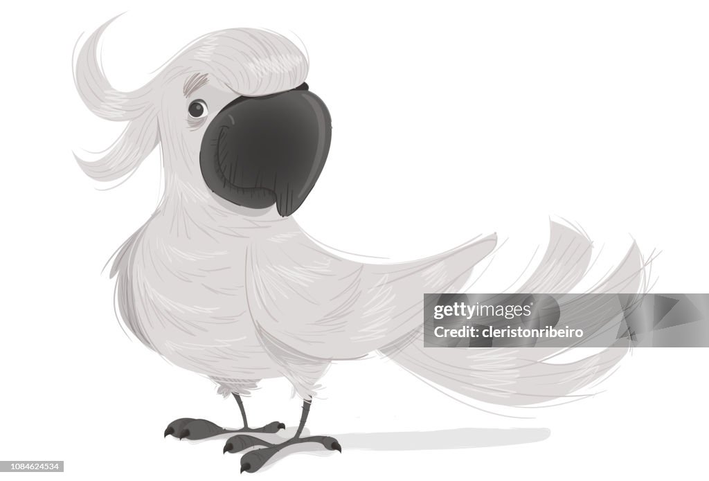 The Cockatoo