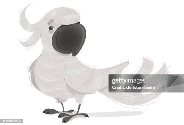 the cockatoo - sulphur crested cockatoo stock illustrations