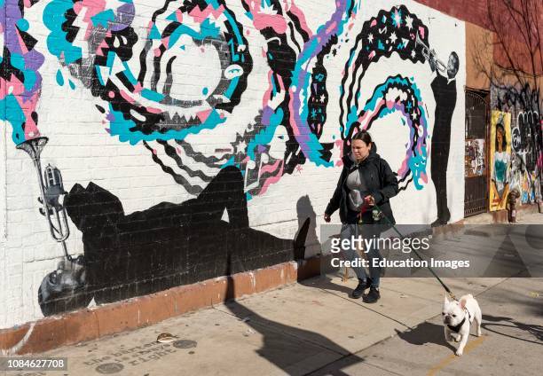 Louis Armstrong mural from Street Artist Brolga in Williamsburg, Brooklyn, New York City, USA.