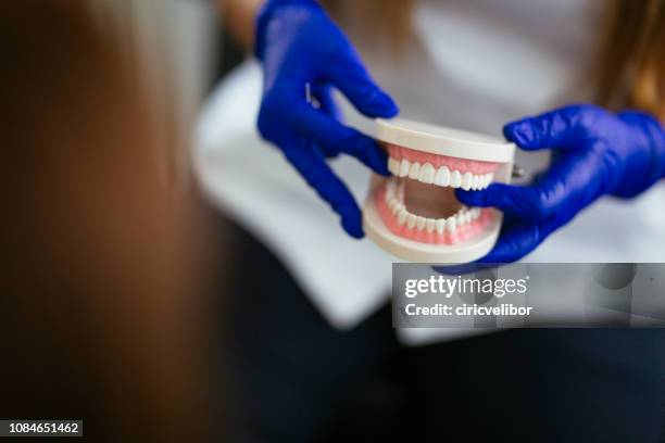 tandarts bedrijf gebit - prothesen stockfoto's en -beelden