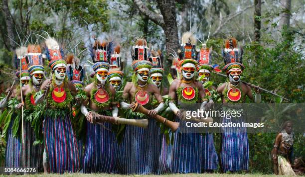 Tribal performers from the Anglimp District in Waghi Province, Western Highlands, Papua New Guinea, performing at a Sing-sing Hagen Show.