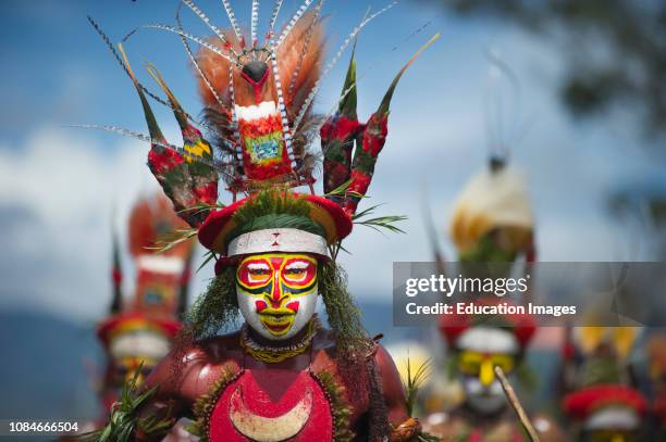 Tribal performers at Sing-sing, Mt Hagen Show in Western Highlands, Papua New Guinea with King of Saxony plumes, Raggiana Bird of Paradise plumes and...