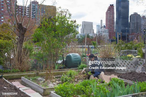 Active woman in urban community garden.