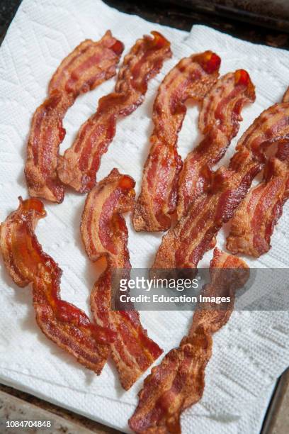 High Angle View of Cooked Bacon on Paper Towel.