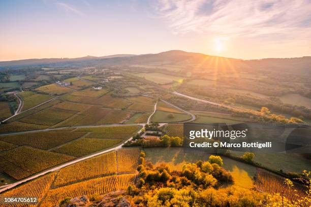 vineyards at sunset from the top of rock of solutre, burgundy, france - burgundy stockfoto's en -beelden