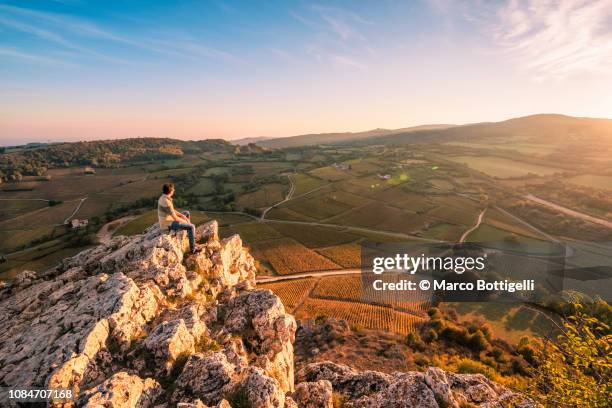 burgundy, france - burgundy france stock pictures, royalty-free photos & images