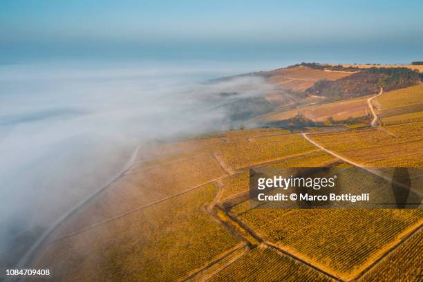 foggy landscape at sunrise, burgundy, france. aerial view. - irancy photos et images de collection