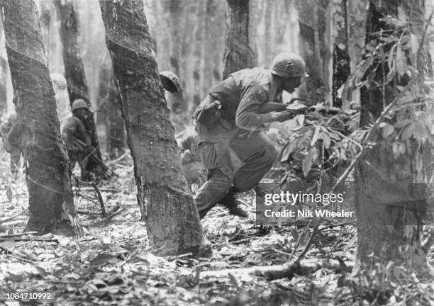 Army 1st Division area of operations included French owned rubber plantations around Saigon