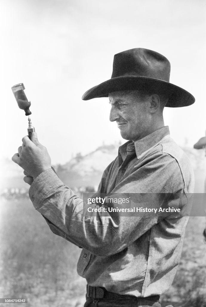 Cowboy Filling Syringe with Blackleg Serum, Quarter Circle U Ranch Roundup, Montana, USA, Arthur Rothstein, Farm Security Administration, June 1939