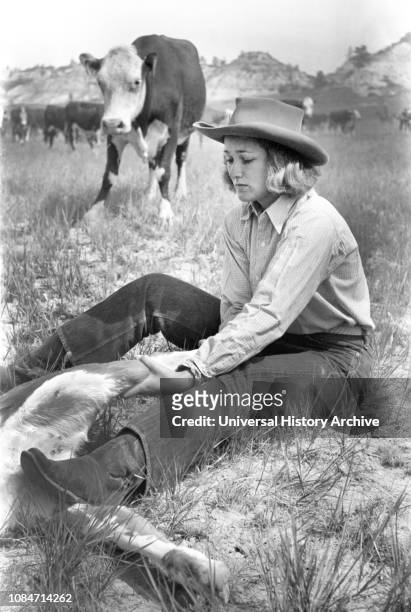 Dude Girl "Rassling" a Calf, Quarter Circle U Ranch Roundup, Montana, USA, Arthur Rothstein, Farm Security Administration, June 1939.