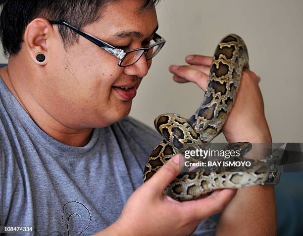 Philippines Native Python 58 Indian Rock Python Stock Photos, High-Res Pictures, and Images ...