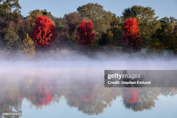 árboles de otoño rojo con lago brumoso - columbia fotografías e imágenes de stock