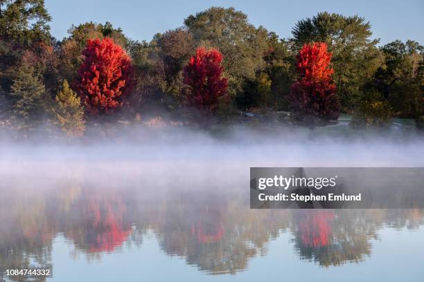 red autumn trees with foggy lake - missouri stock pictures, royalty-free photos & images