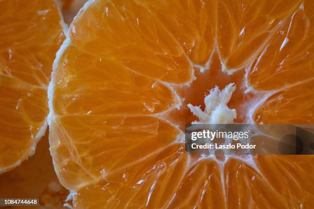 slice of clementine - juicy stock pictures, royalty-free photos & images