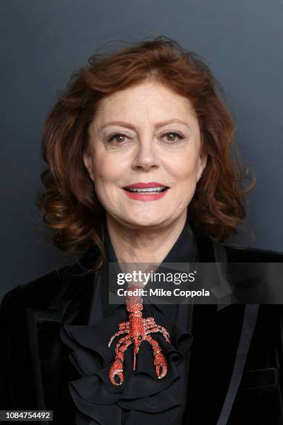 Actress Susan Sarandon attends the Saint Laurent Presents "Belle De Jour" 50th Anniversary Screening at Museum of Modern Art on December 19, 2018 in...