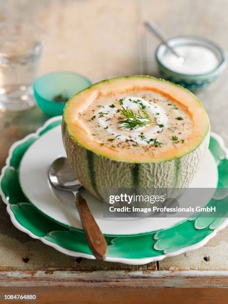 cold melon soup with ginger - melão imagens e fotografias de stock