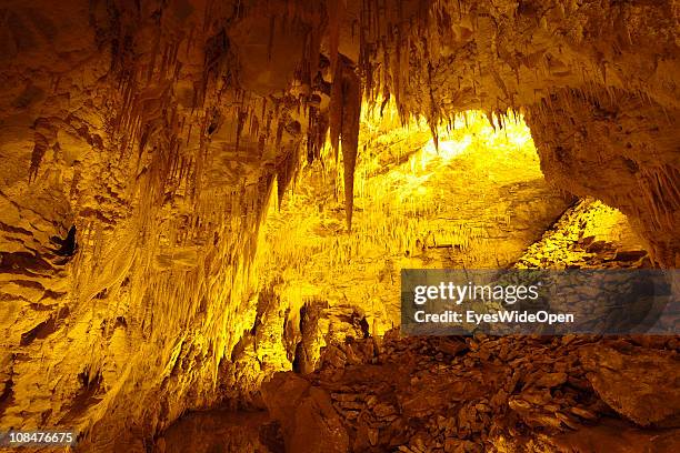 Ruakuri Glowworm cave on December 07, 2010 in Waitomo, North Island, New Zealand.