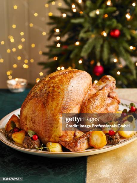 christmas turkey - roast turkey stock pictures, royalty-free photos & images