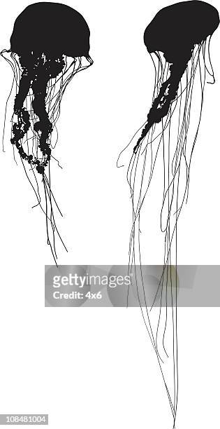 silhouette jelly fish - tentacle stock illustrations