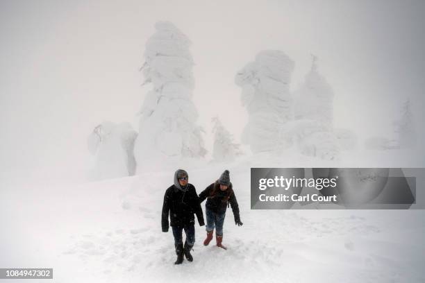 Tourists walk in heavy snow next to strangely shaped, snow covered trees, nicknamed "snow monsters" on January 19, 2019 on Mount Zao near Shiroishi,...