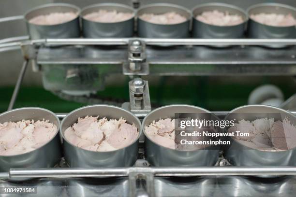 Tuna Process 384 Tuna Processing Stock Photos, High-Res Pictures, and Images - Getty ...