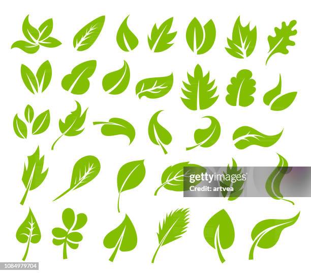 stockillustraties, clipart, cartoons en iconen met groene bladeren pictogramserie - natuurlijke staat