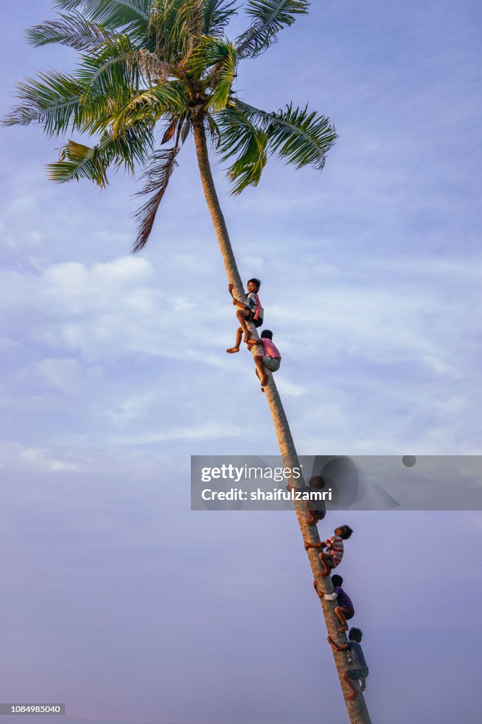 View of Bajau Laut kids climb a coconut tree at Bodgaya Island, Sabah, Malaysia.