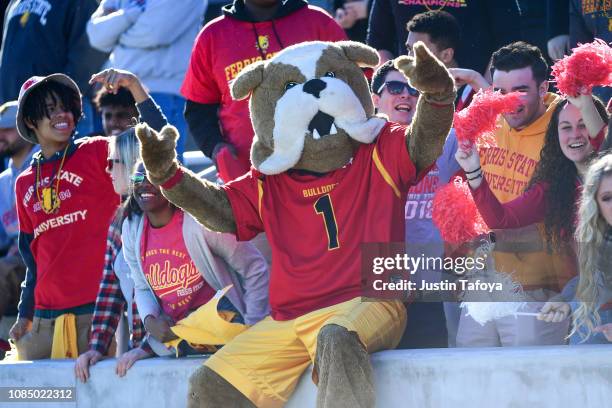 Ferris State Bulldogs fans cheer against the Valdosta State Blazers during the Division II Men's Football Championship held at McKinney ISD Stadium...