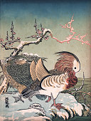 Art of Japan, Mandarin ducks (Aix galericulata) in winter