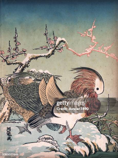 art of japan, mandarin ducks (aix galericulata) in winter - fine art painting stock illustrations