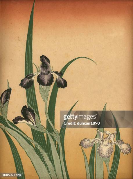 ilustrações, clipart, desenhos animados e ícones de arte do japão, flores de orquídea - orchids of asia