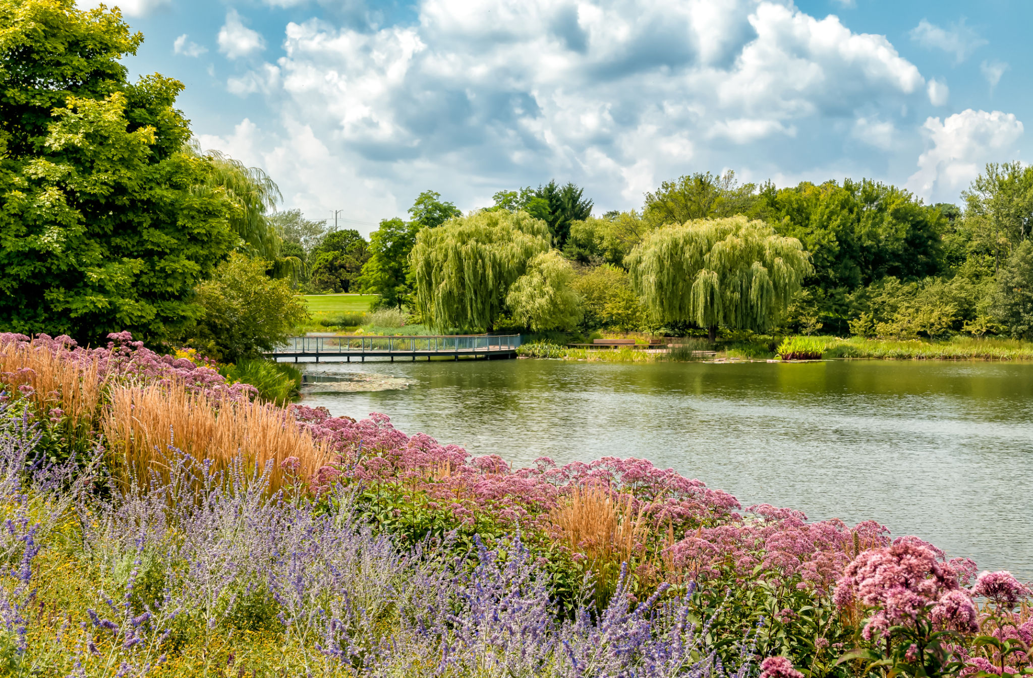 Chicago park