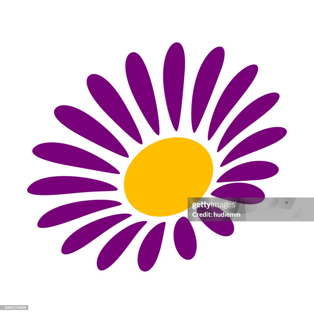 Manzanilla de daisy de vectores aislada sobre fondo blanco
