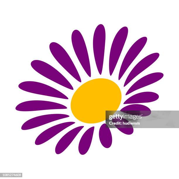 vector daisy chamomile isolated on white background - purple petal stock illustrations