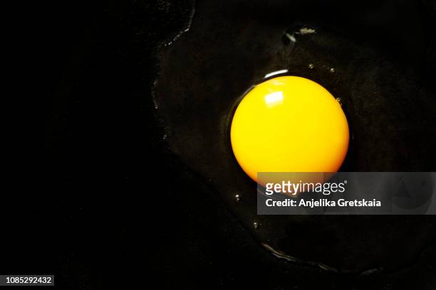 raw chicken egg in a black background - bianco d'uovo foto e immagini stock
