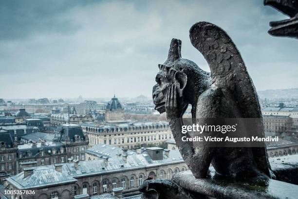 gargoyle - notre dame foto e immagini stock