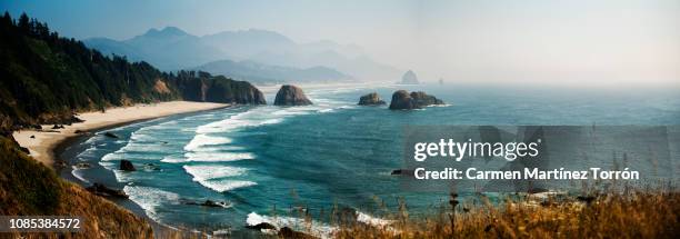pacific coast highway panoramic view, oregon. usa. - formação rochosa imagens e fotografias de stock