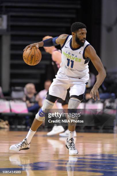 January 19: Hakim Warrick of the Iowa Wolves handles the ball against the Austin Spurs during their NBA G League game at the HEB Center in Cedar...