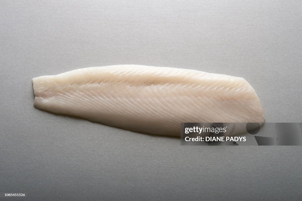 Halibut Fillet Raw